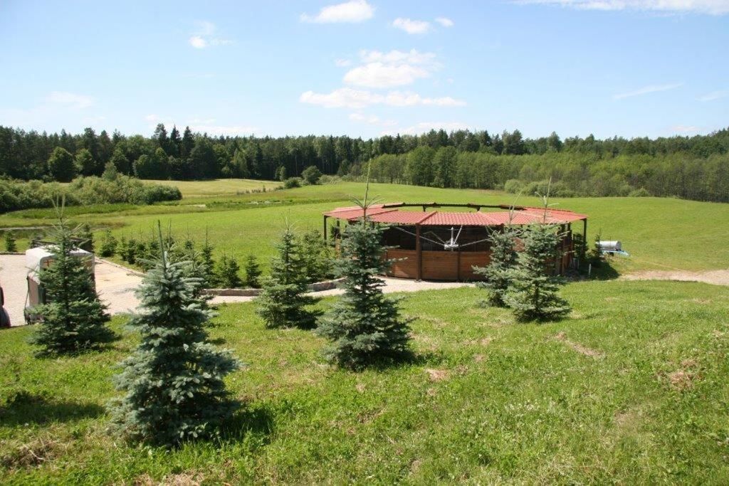 Фермерские дома Stajnia Lipowo Lipowo-46